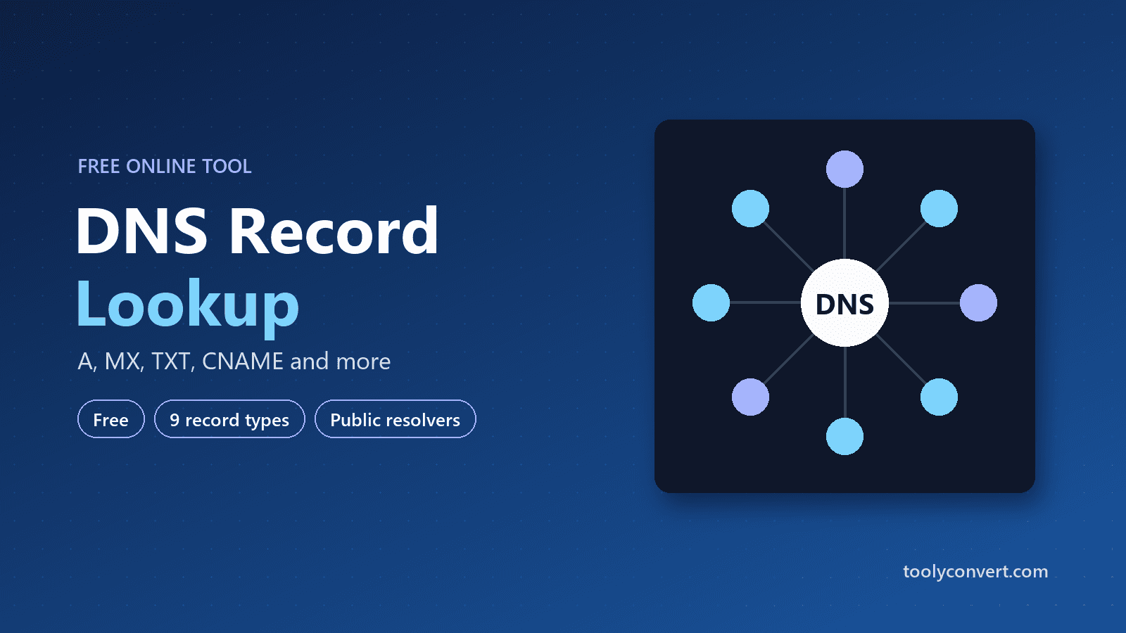 DNS Record Lookup Tool tool